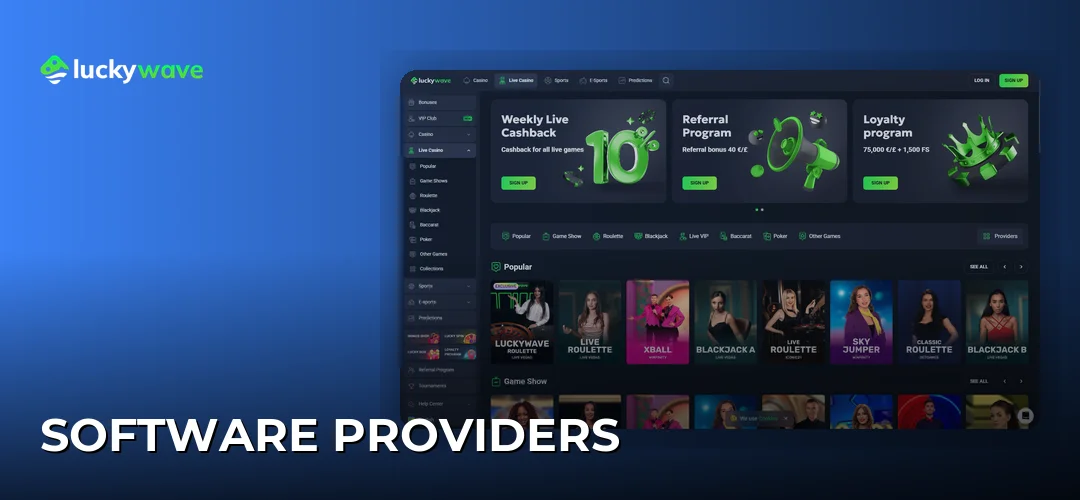 Software providers